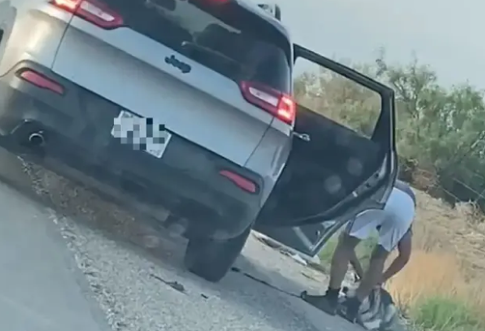 Abbandona un cane ma viene arrestato