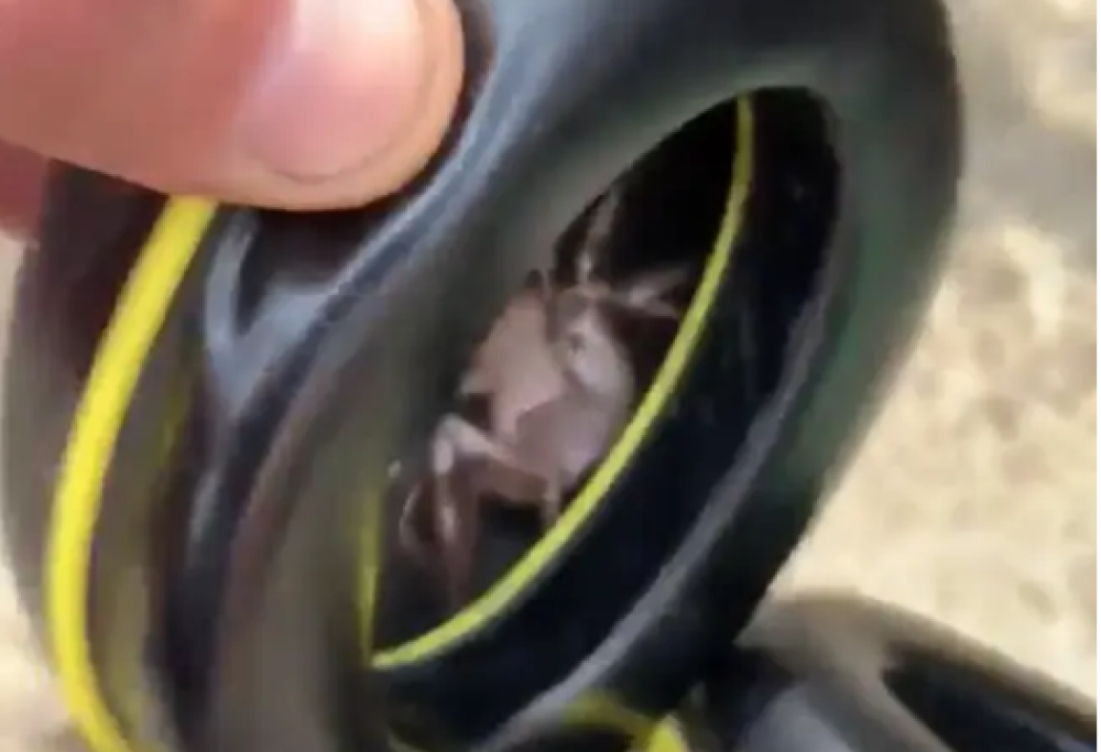 Sente uno strano solletico quando indossa le cuffie…