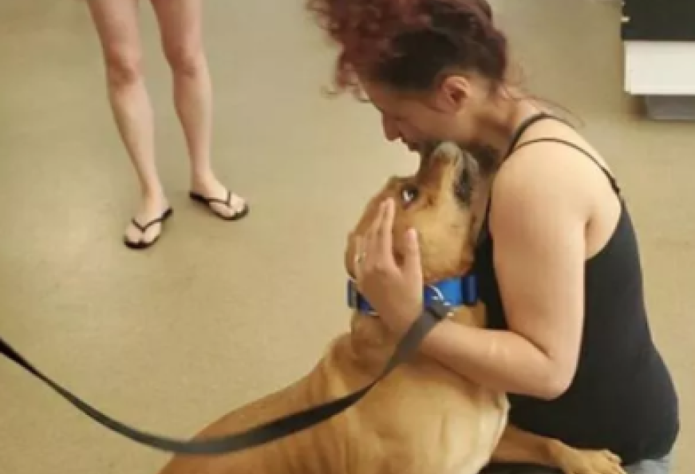 Riconosce il proprio cane scomparso 2 anni prima