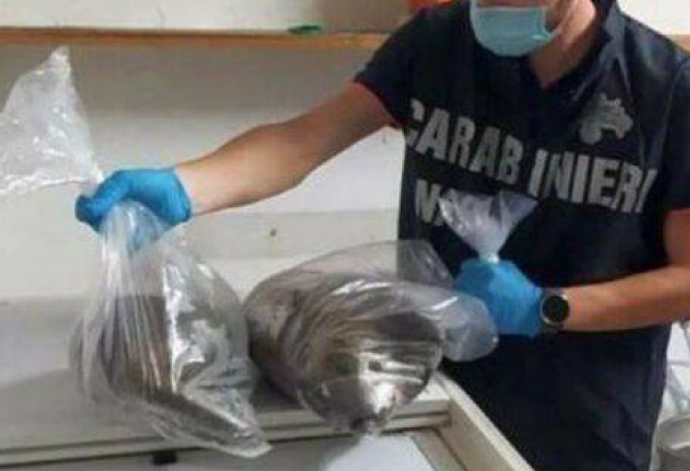 Panini alla nutria a Mantova