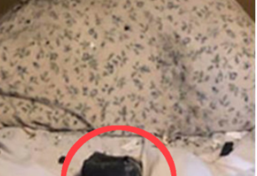 Meteorite si schianta sul suo cuscino