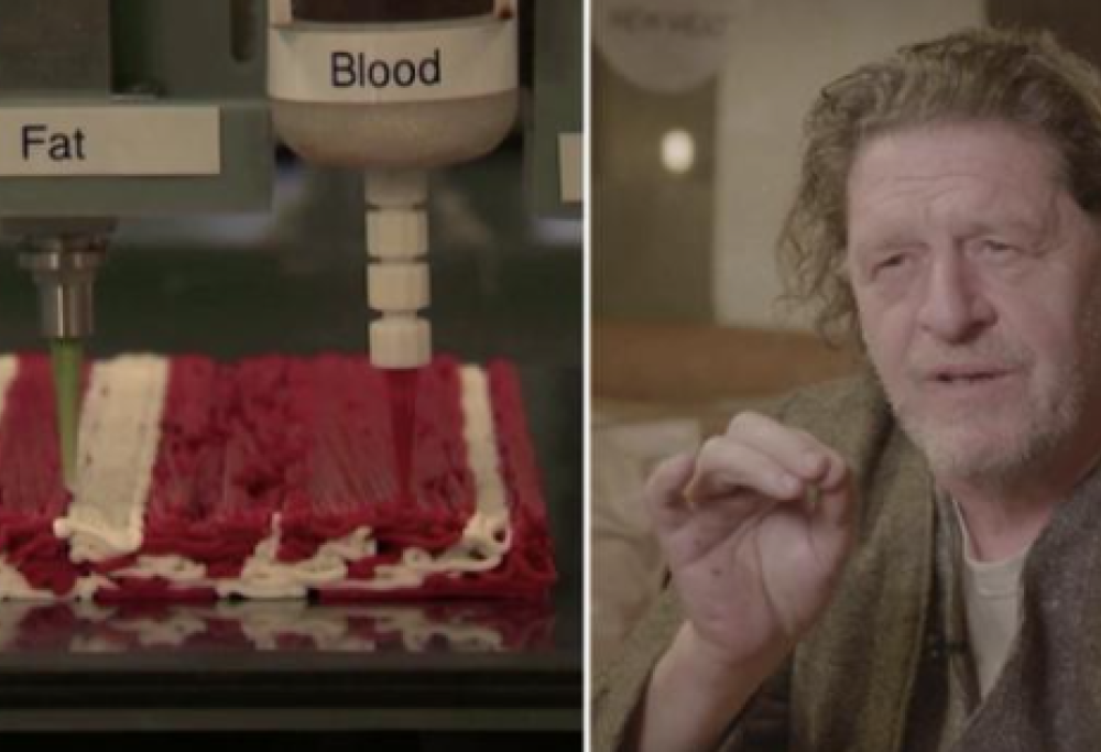 Arrivano le bistecche vegane in 3D