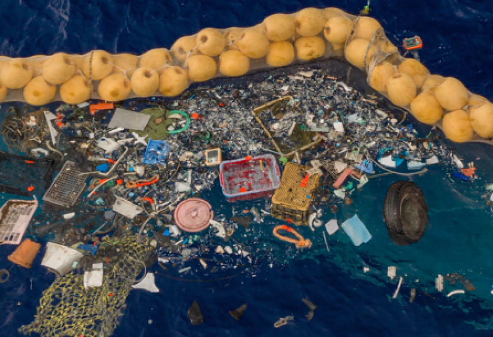 Forme di vita sulle isole di plastica