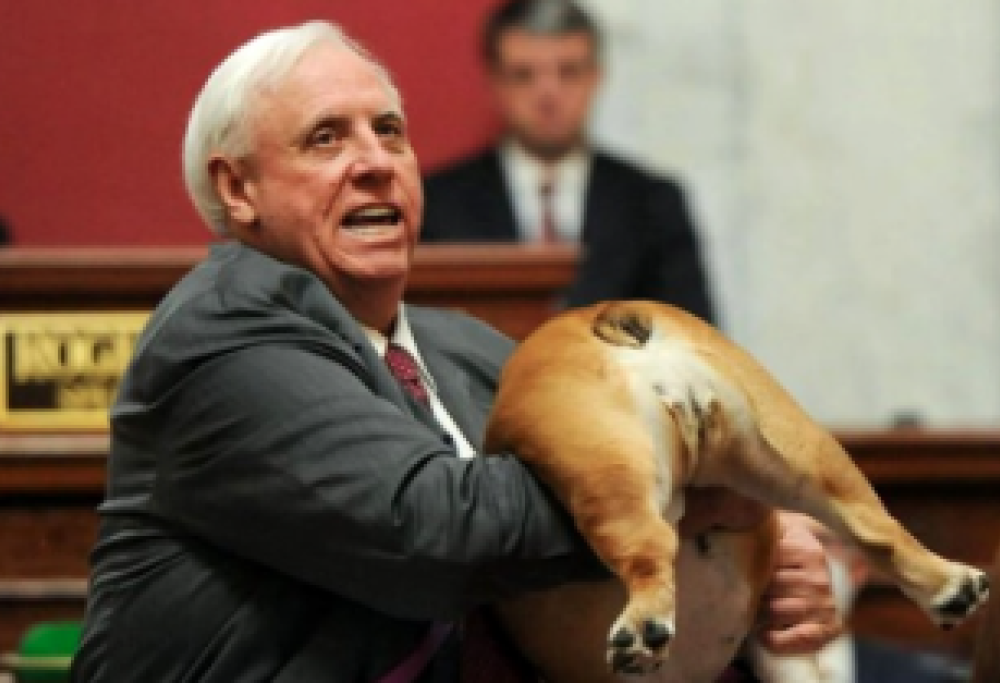 Baciate il sedere al mio cane!