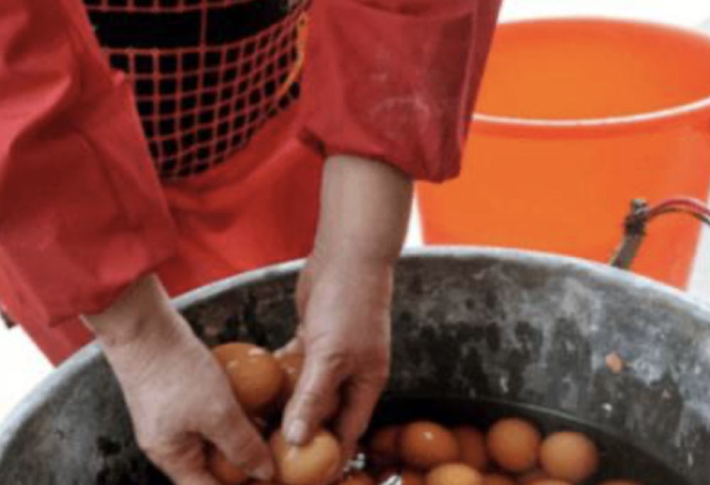 Uova cotte nell’urina e vongole giganti a Fiumicino