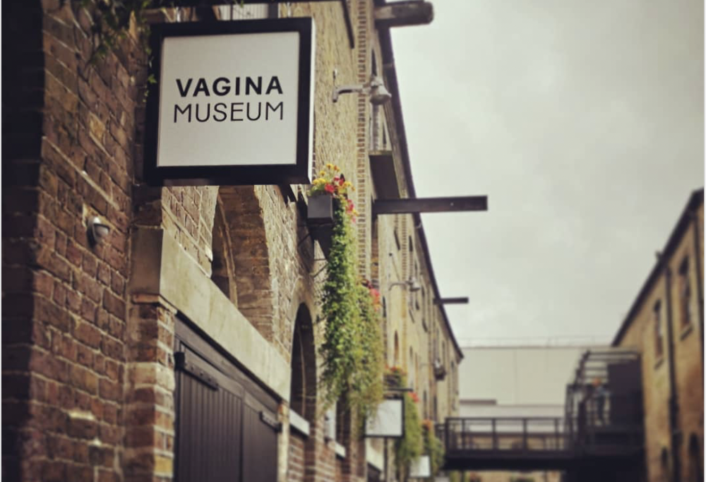 Riapre il museo della vagina a Londra
