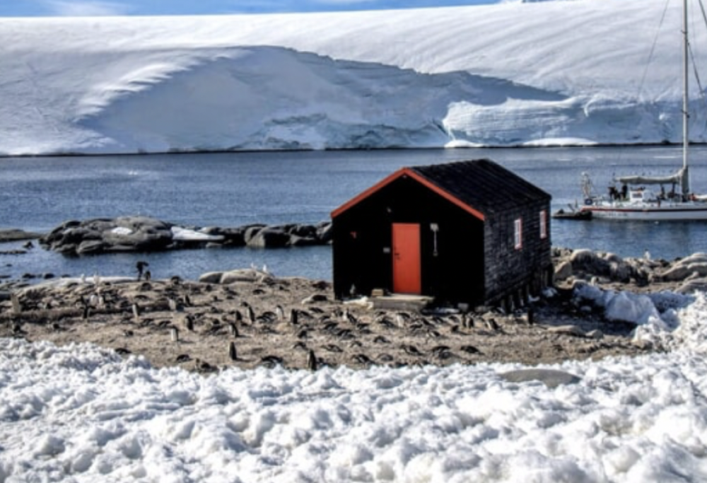 Ufficio postale in Antartide cerca impiegati