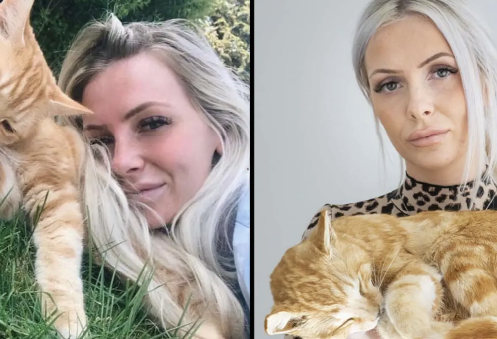 Fa imbalsamare il suo gatto per 4000 sterline