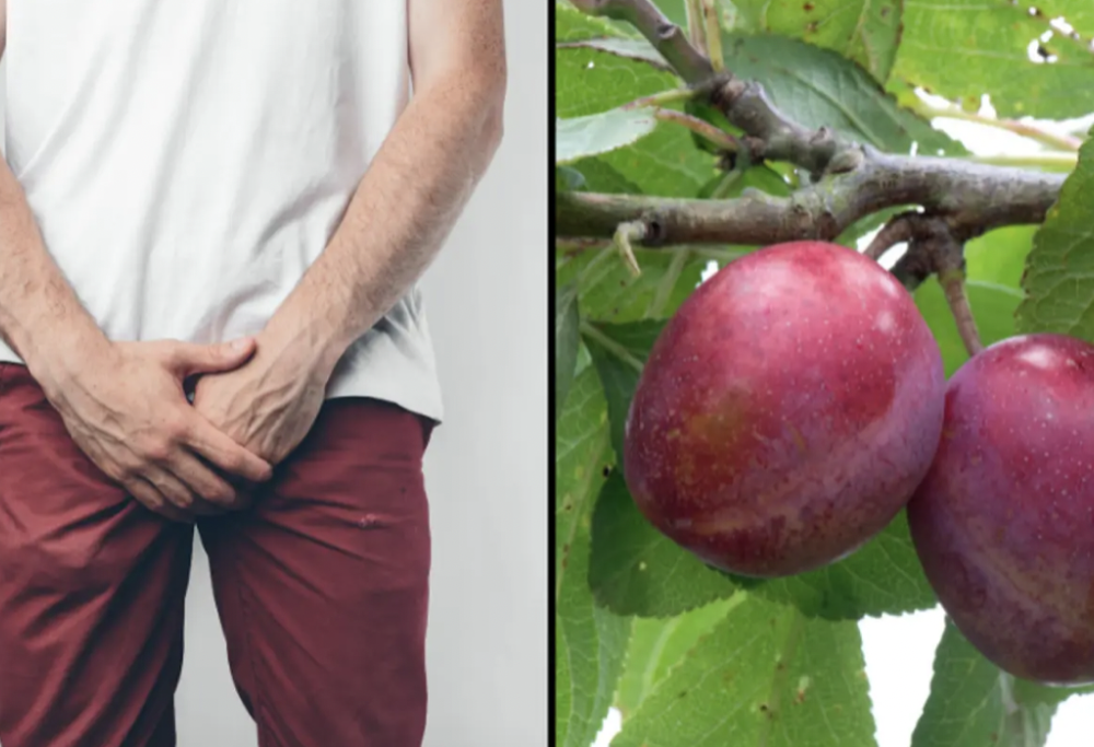 Perché i testicoli si muovono