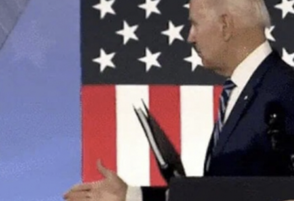 Cosa ne pensate di Rimbam-Biden?