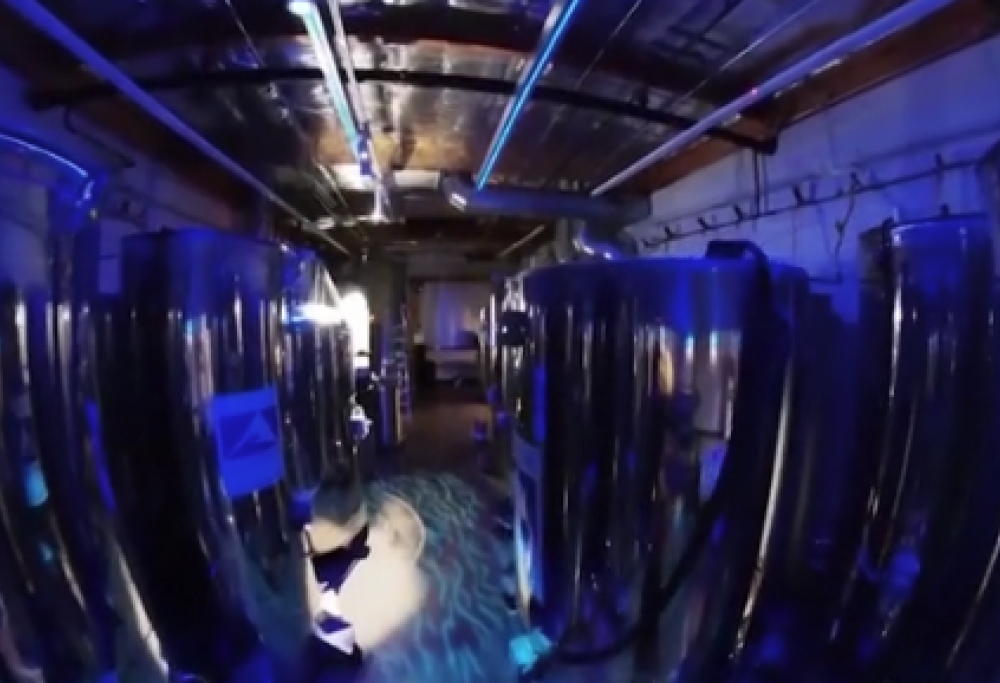 I 199 congelati in attesa del futuro