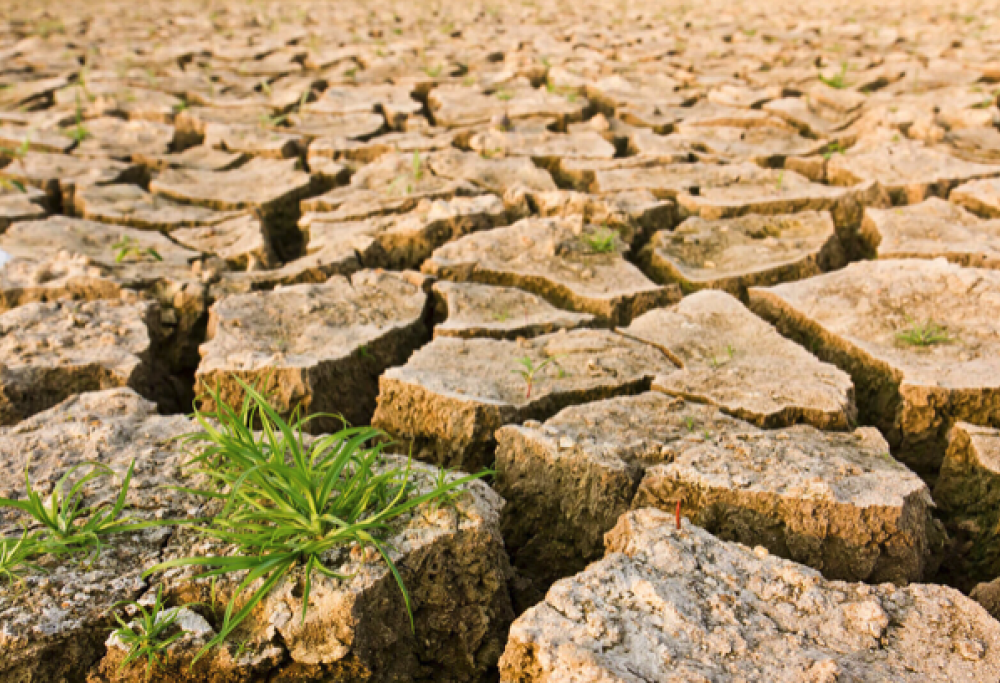 Un miliardario inquina mille volte di più di una persona media