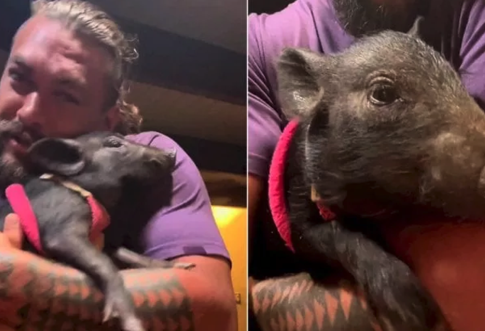 Momoa adotta il cinghiale incontrato sul set