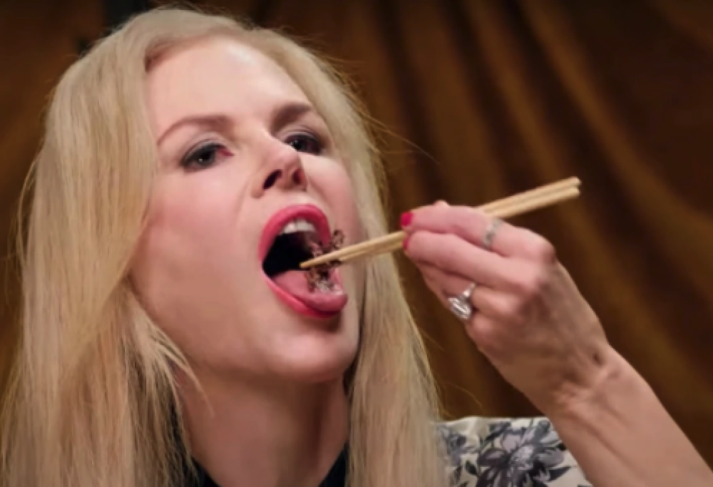 Perché vogliono farci mangiare gli insetti