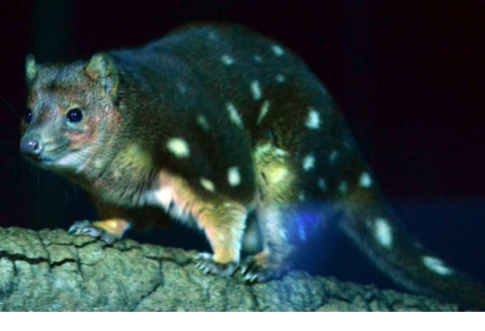 Non dormono per fare sesso