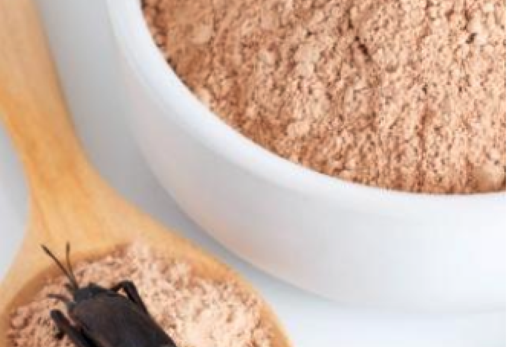 Pane con farina di grilli, ormai ci siamo