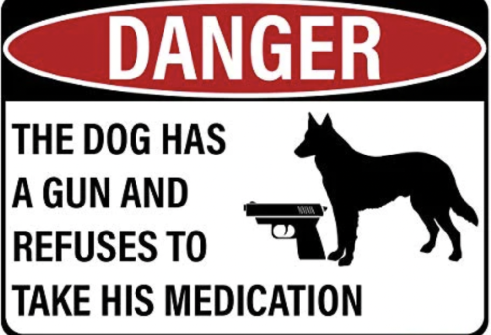 Cane spara a uomo e lo uccide