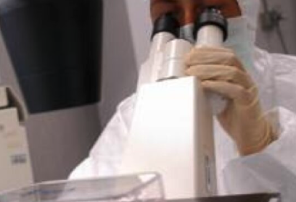 Virus zombie resuscitati dalla Siberia