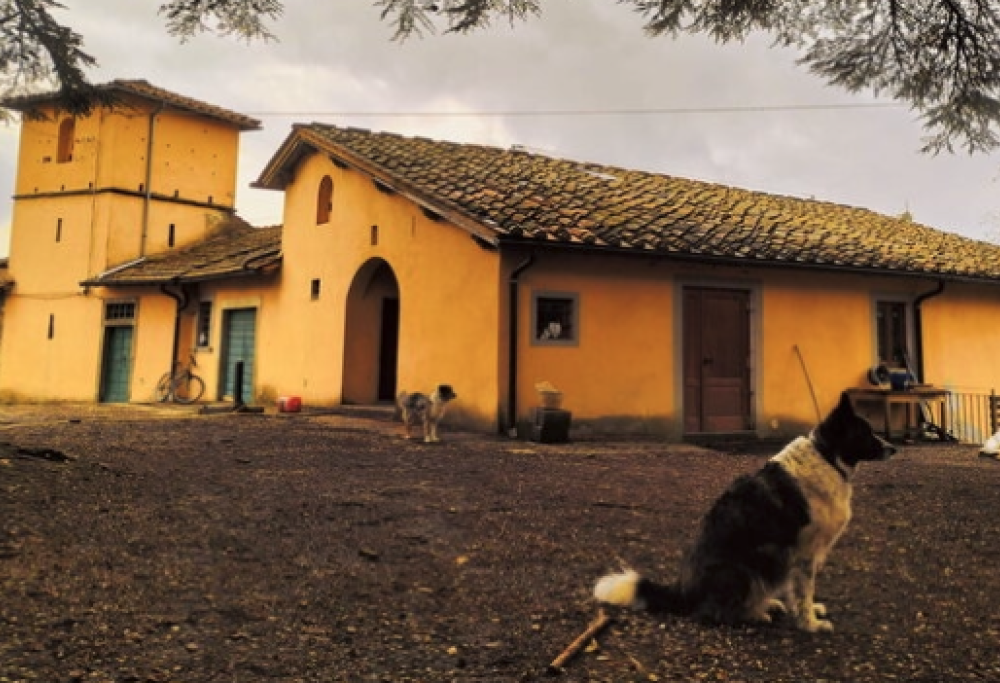 L’abbazia dove vivere come monaci per un mese