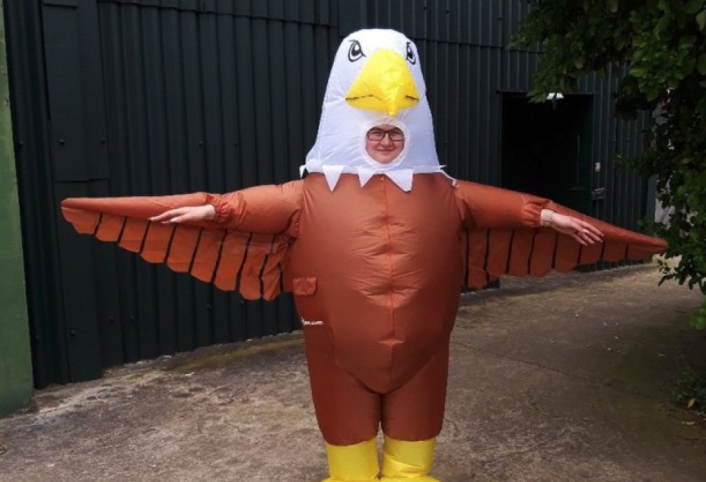 Cercasi personale per spaventare i gabbiani