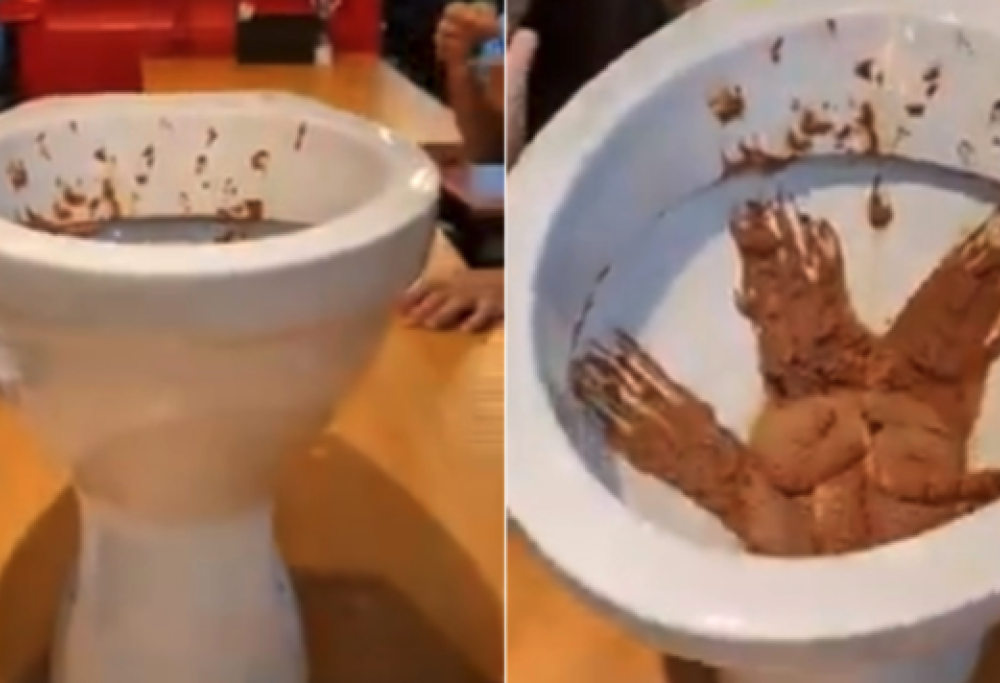 Ristorante serve gelato nel water