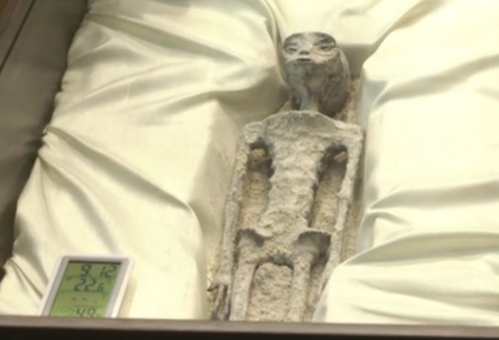 Presentati resti di esseri (non) umani