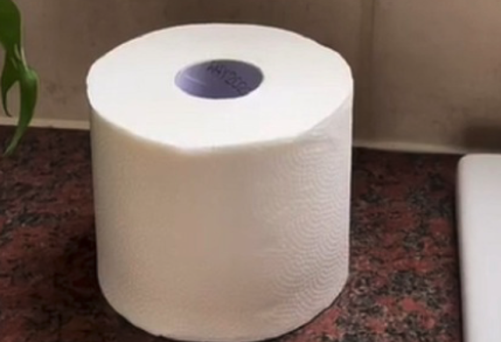 Strofinacci al posto della carta igienica per risparmiare