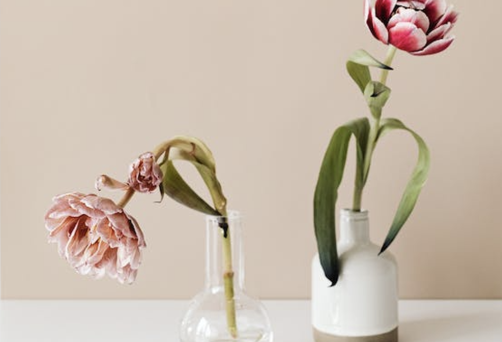 Cosa succede là sotto quando si invecchia?