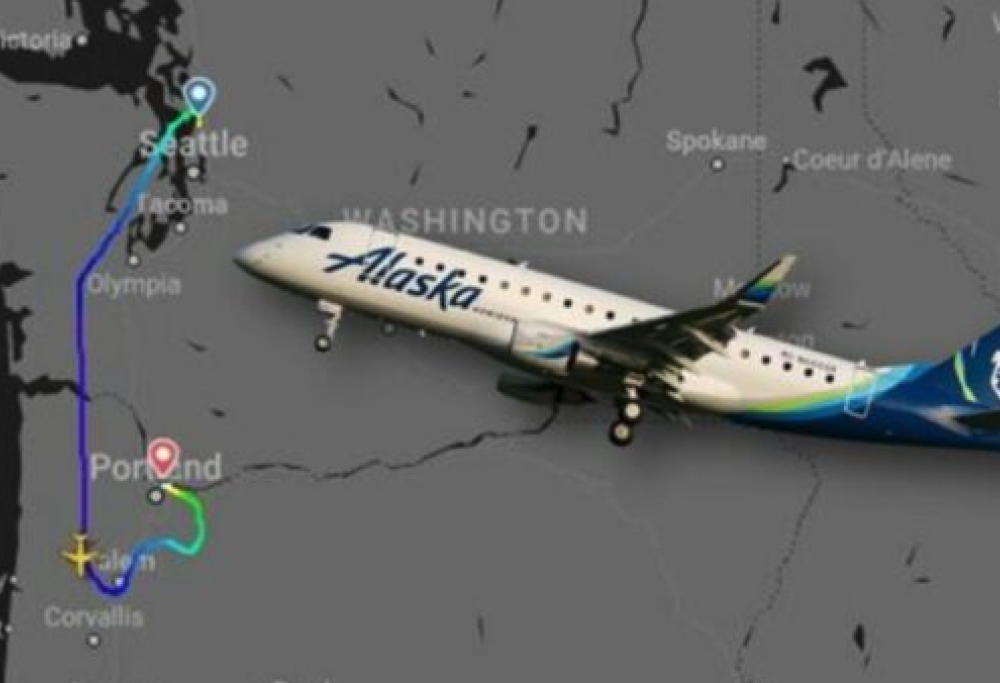 Pilota assume funghi allucinogeni prima del volo