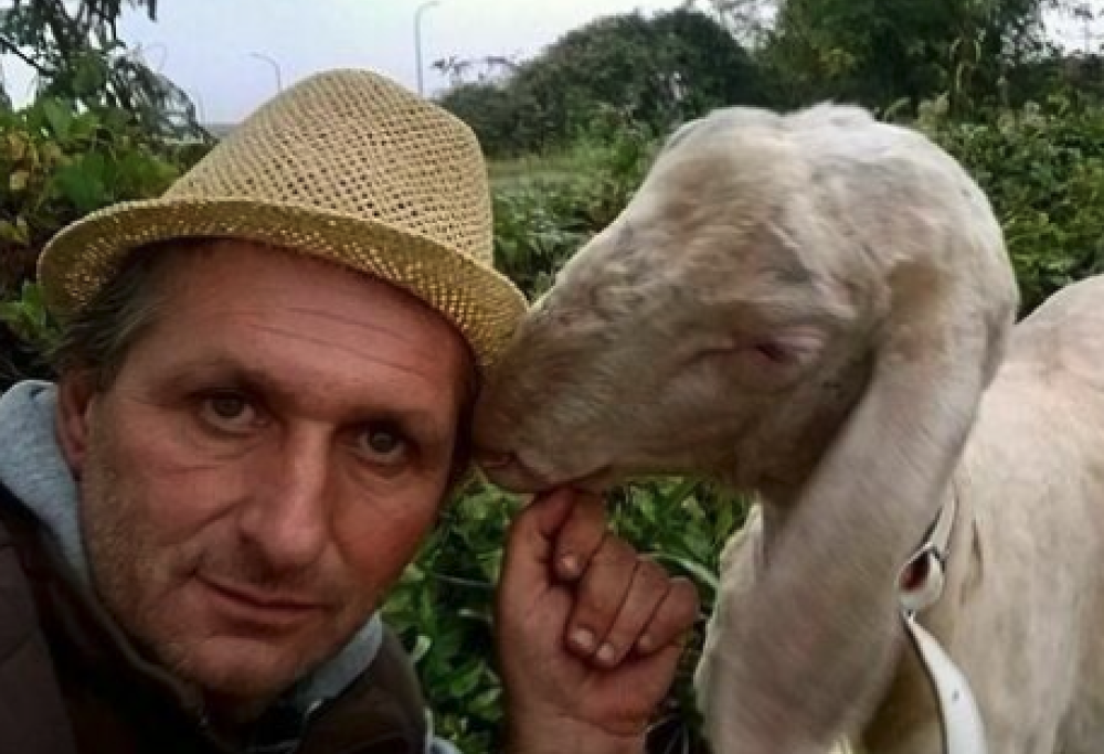 Dirigente d’azienda si ritira in una fattoria di animali