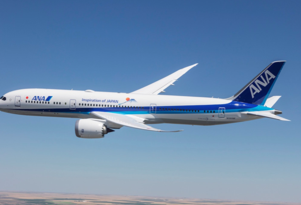 Passeggero morde hostess, aereo costretto al rientro