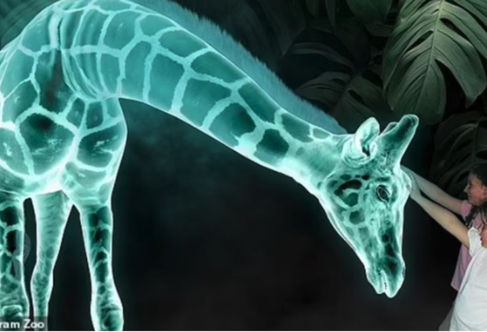 Gli zoo del futuro con ologrammi al posto degli animali