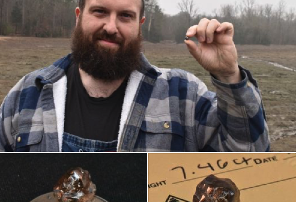 Trova diamante in un parco e diventa milionario