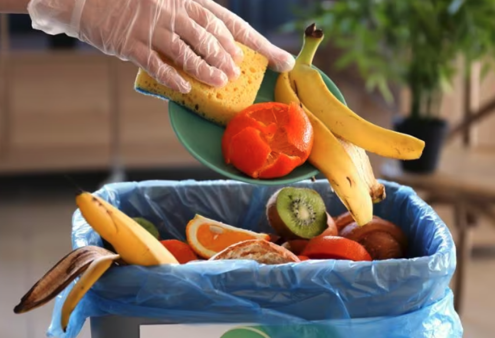 Spreco alimentare, 290 euro a famiglia all’anno