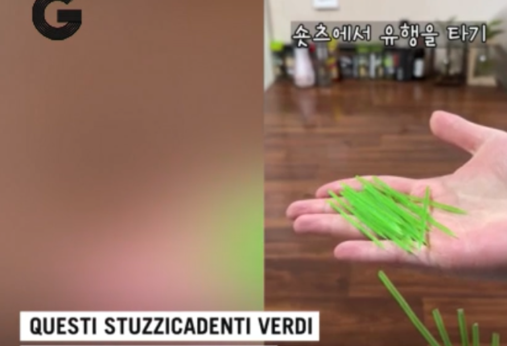 In Sud Corea si mangiano gli stuzzicadenti fritti
