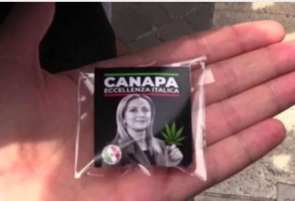Bustine di cannabis light con il volto della Meloni