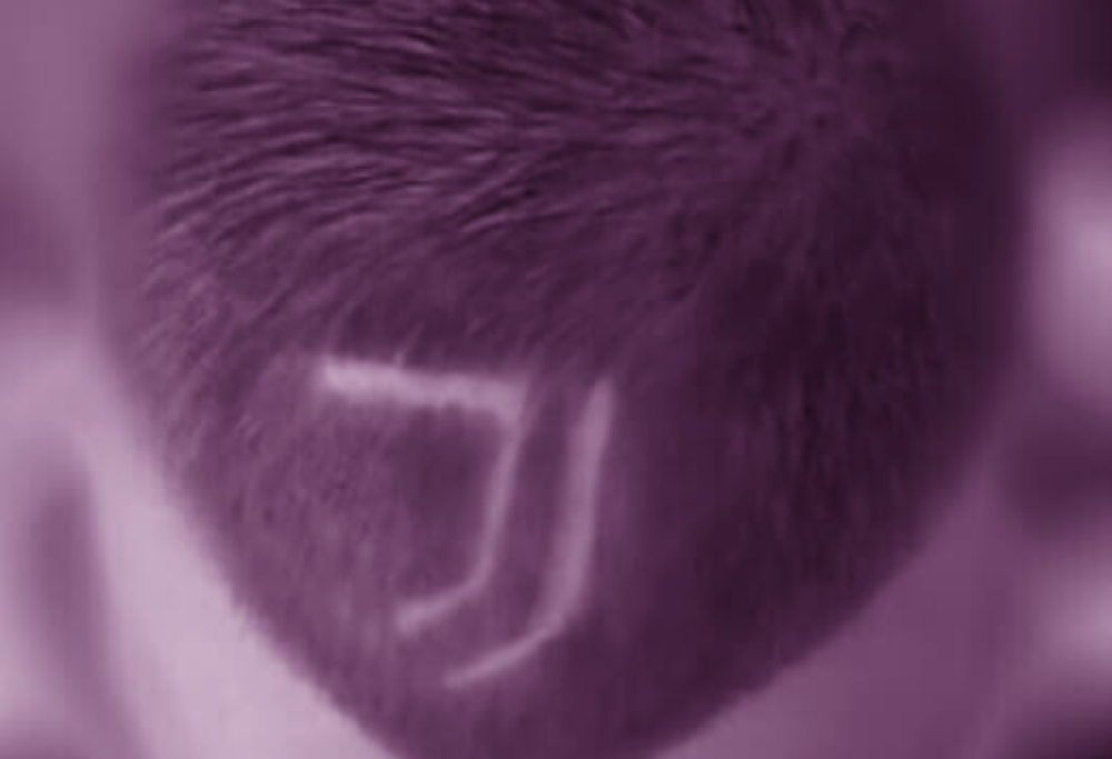 Rasa la testa ai figli con lo stemma della Juve per dispetto