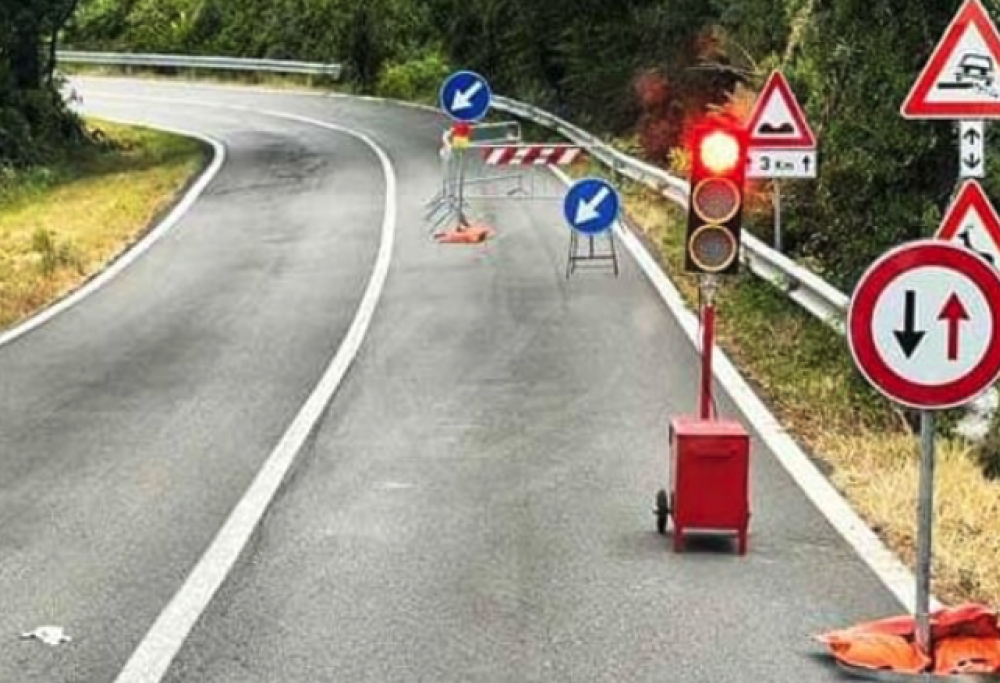 Troppe code, automobilista lancia semaforo nei campi