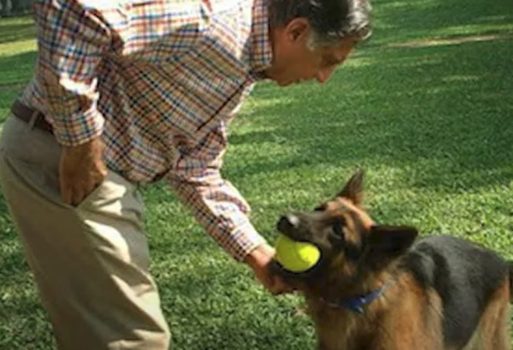 Il magnate Tata lascia quasi tutto al suo cane