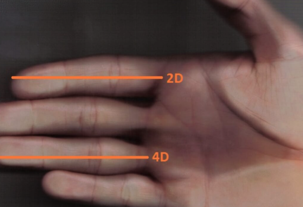 La lunghezza delle dita dice quanto alcol consumi