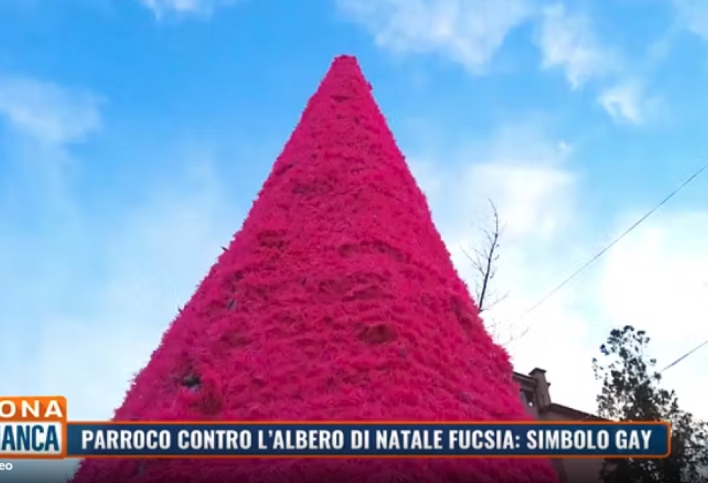 Verona, parroco contro l’albero fucsia