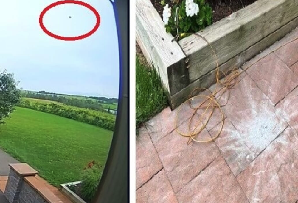 Trova detriti in giardino e scopre che sono di un meteorite