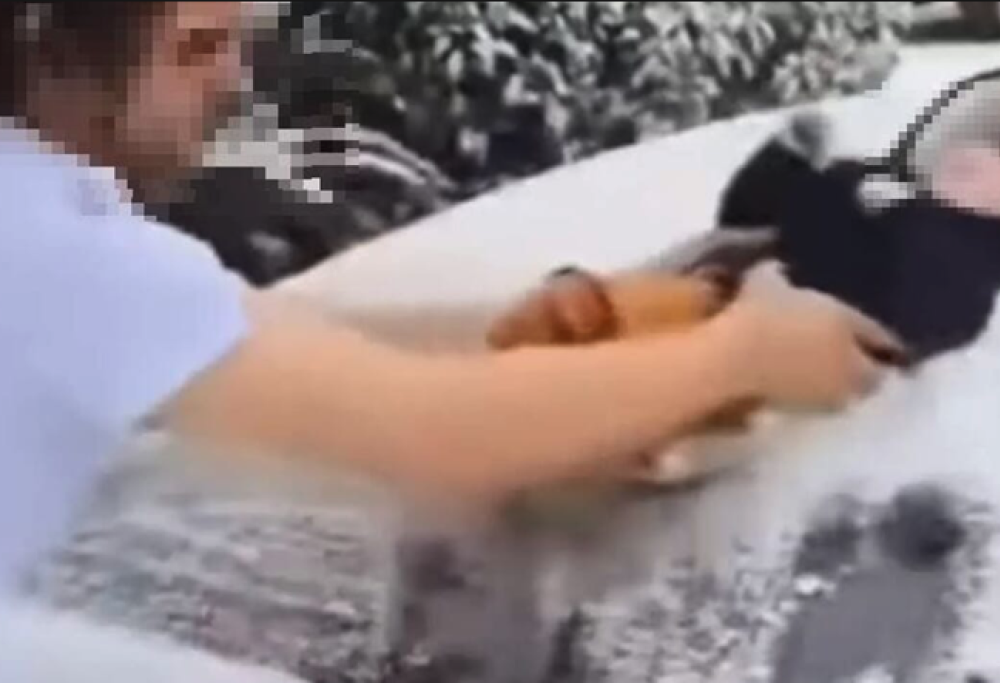 Usa un bimbo di 3 mesi per pulire il parabrezza dalla neve