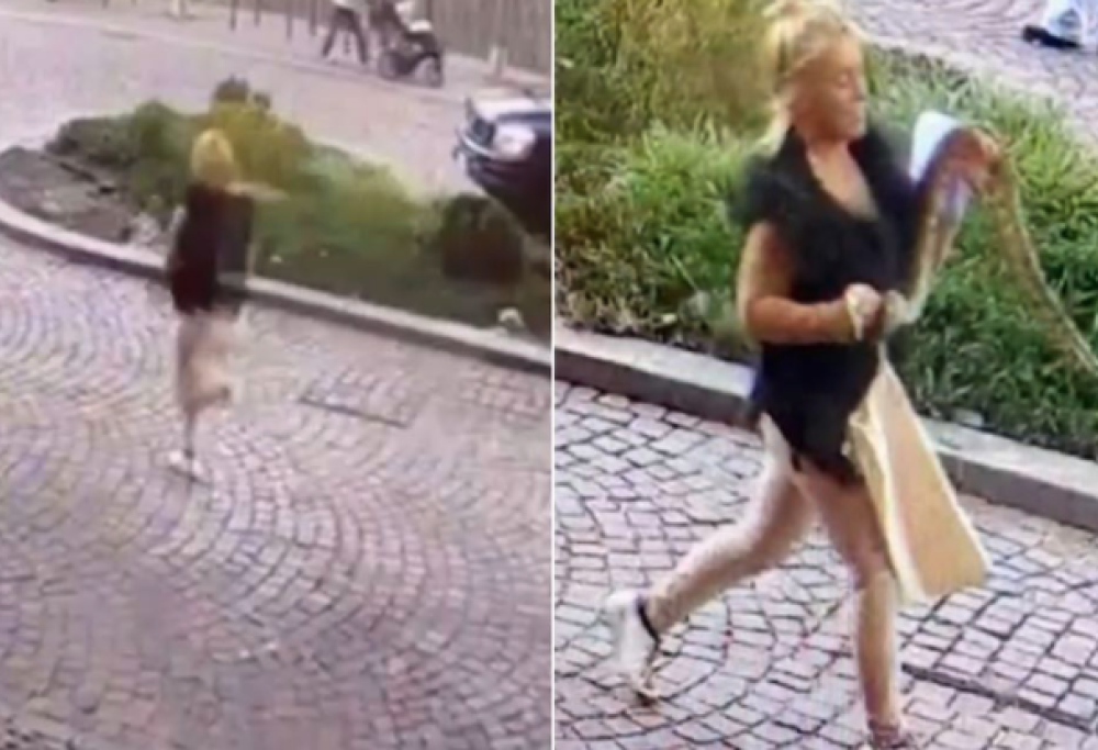 Rapina una tabaccheria con un boa nella borsa