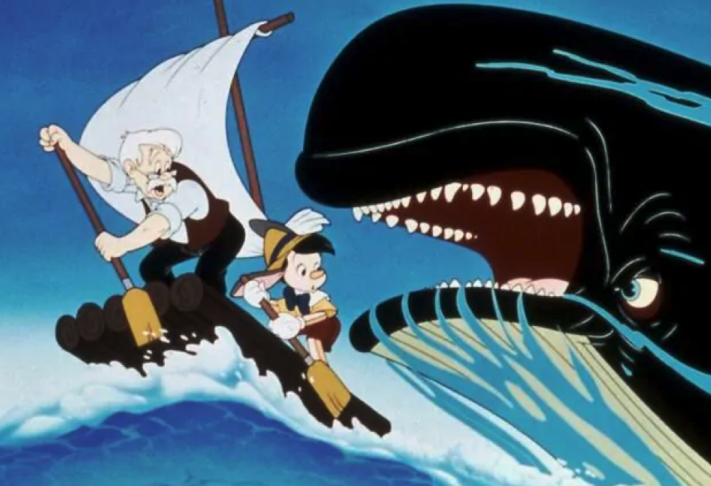 Uomo inghiottito e sputato da una megattera