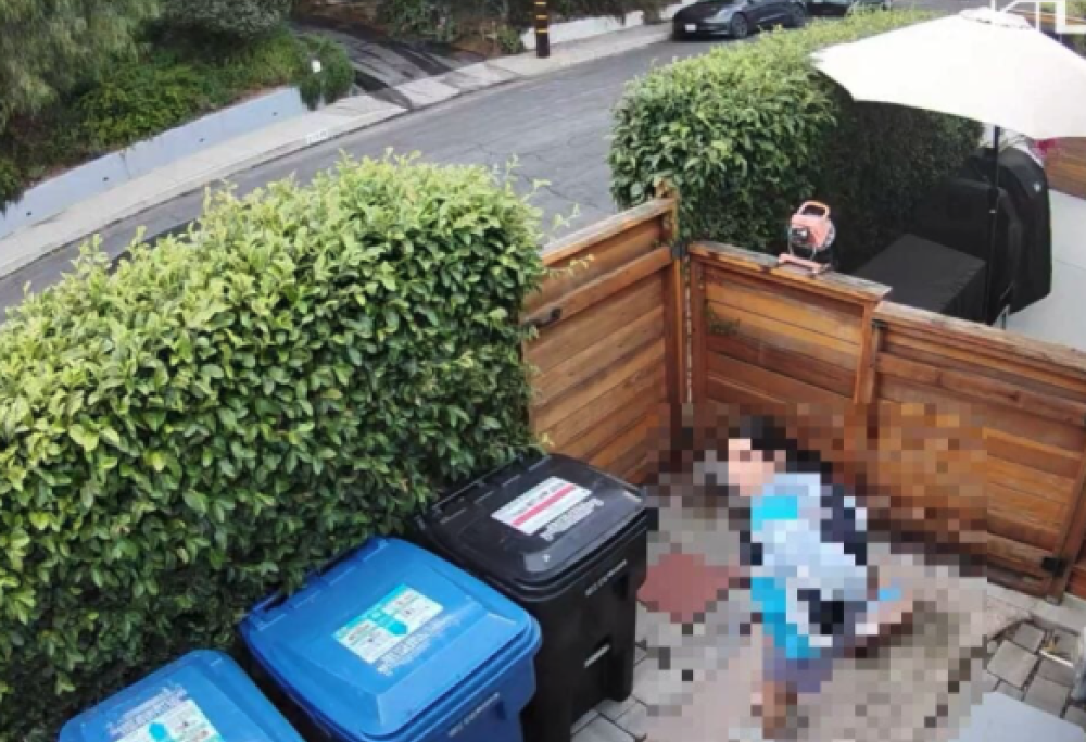 Consegna i pacchi e poi defeca in cortile