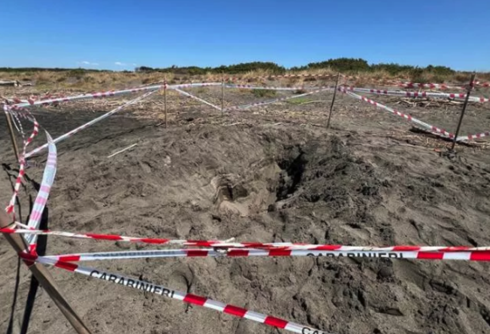 USA, le buche in spiaggia uccidono più degli squali