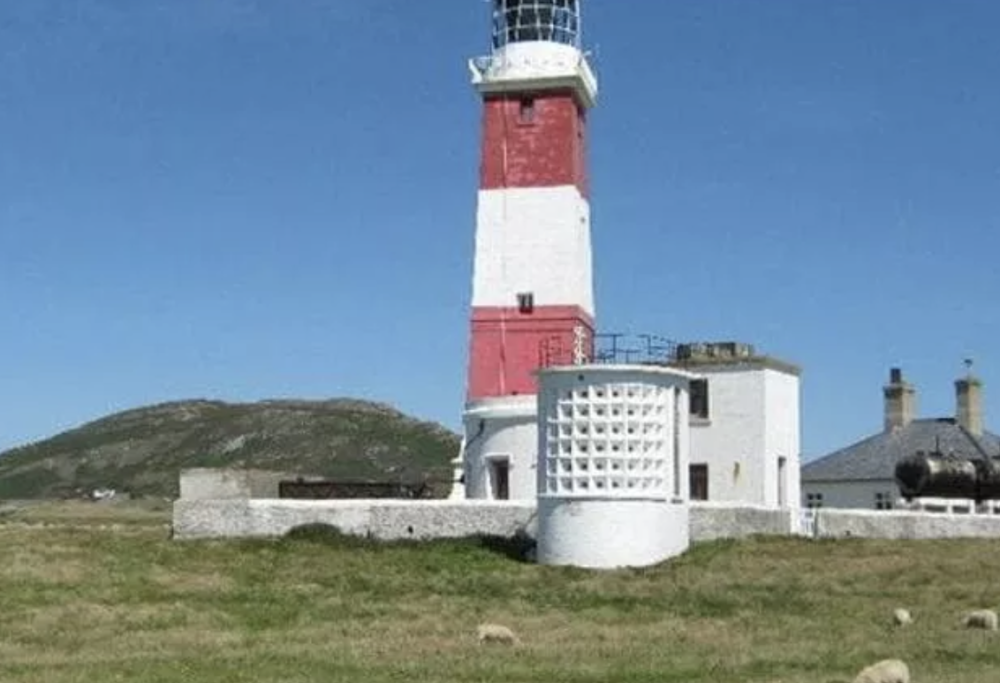 Cercasi pastore per l’isola abitata da sole pecore e mucche