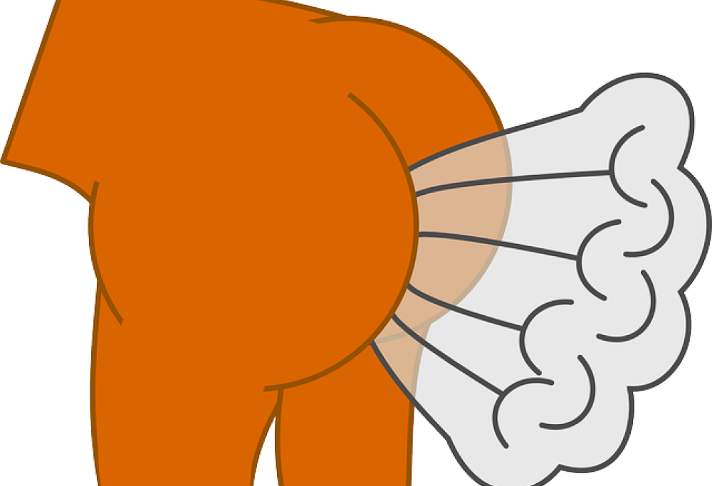 Peti artificiali per sconfiggere la puzza di quelli naturali
