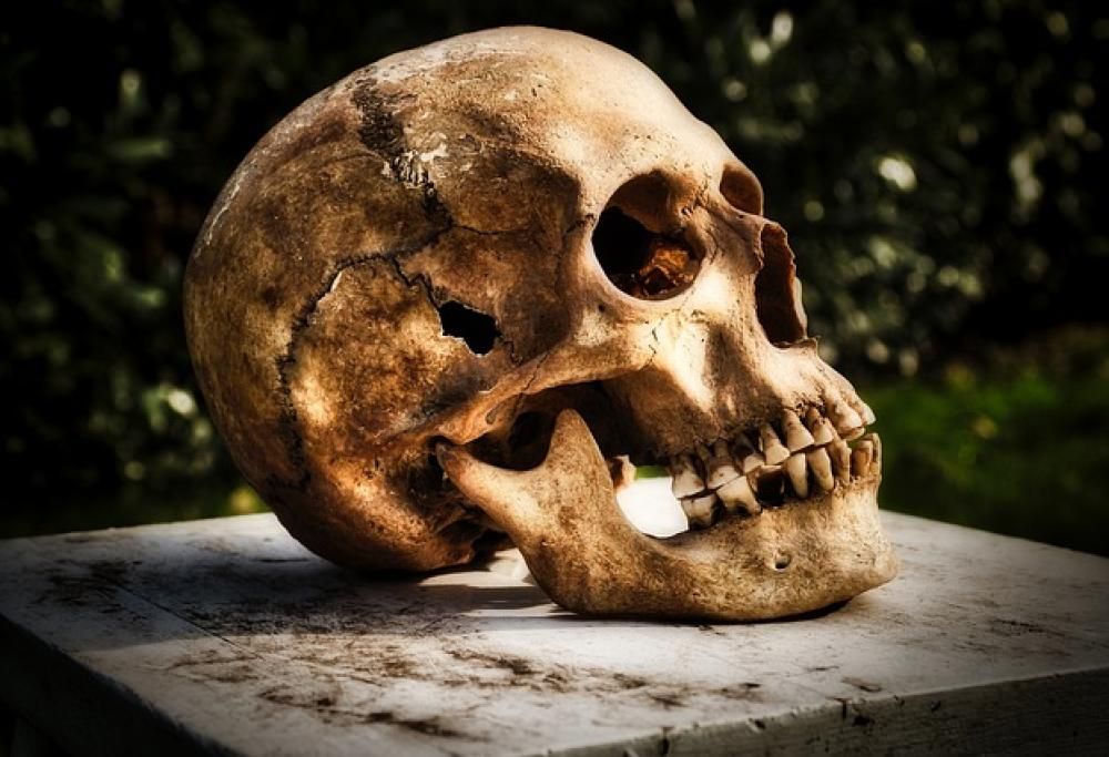 Collezionisti di ossa scoperti a Milano